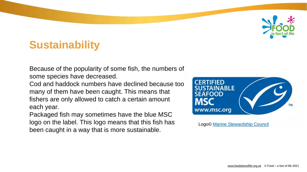 Catching and selling fish Catching fish Fish can - slide 10 of 11
