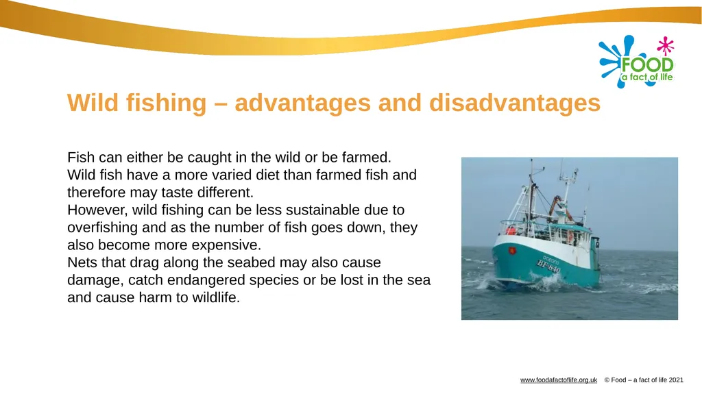 Catching and selling fish Catching fish Fish can - slide 6 of 11