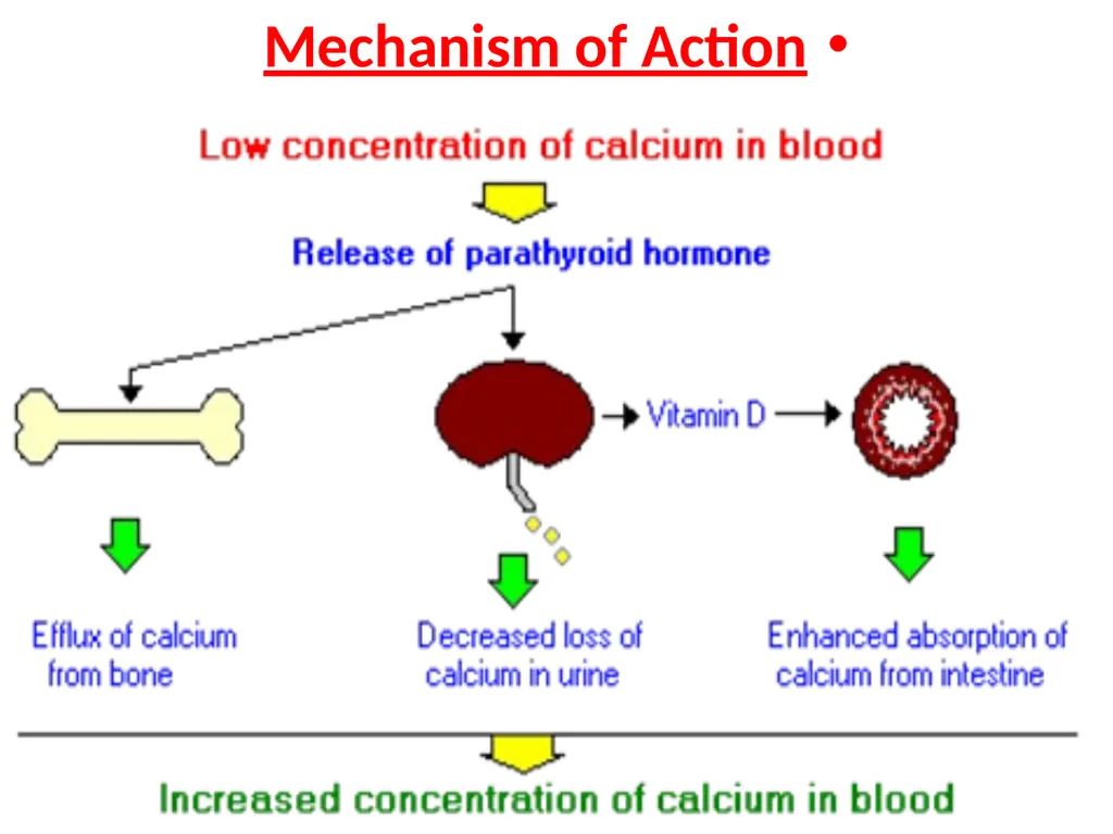 The major function of the parathyroid glands is to - slide 12 of 18