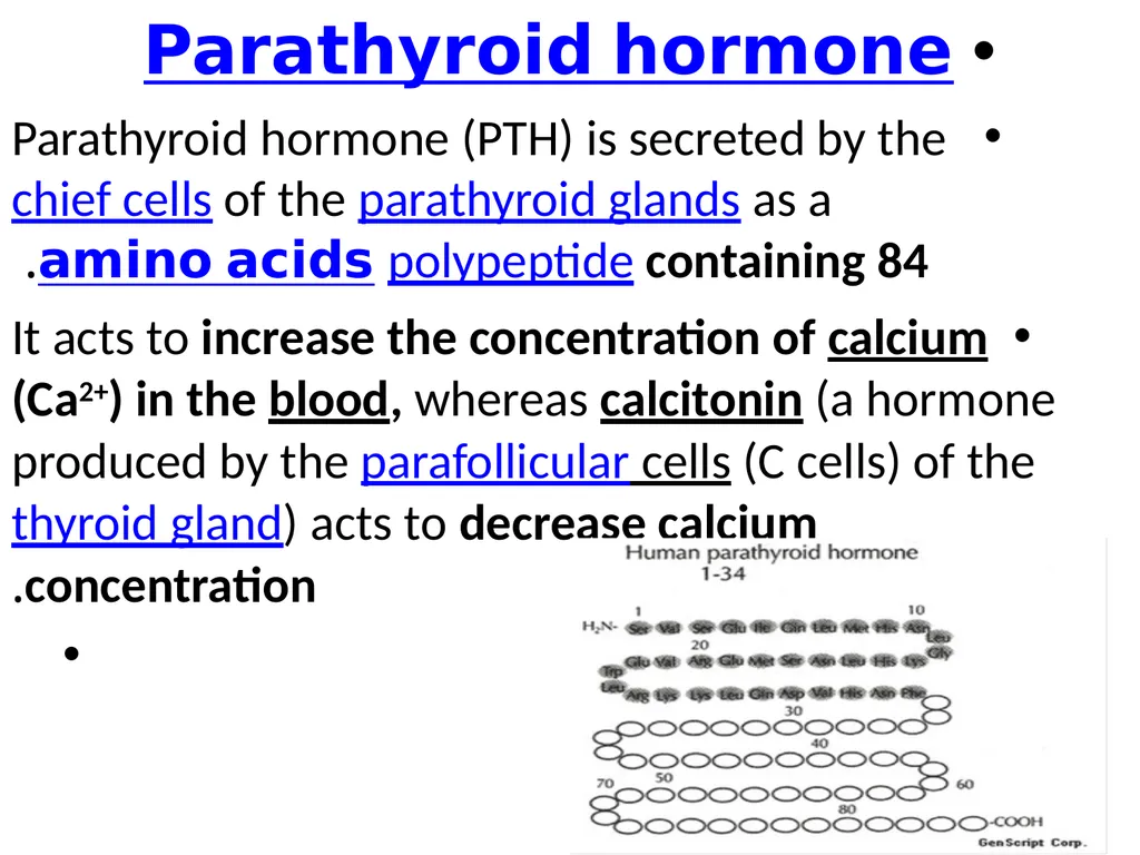 The major function of the parathyroid glands is to - slide 2 of 18