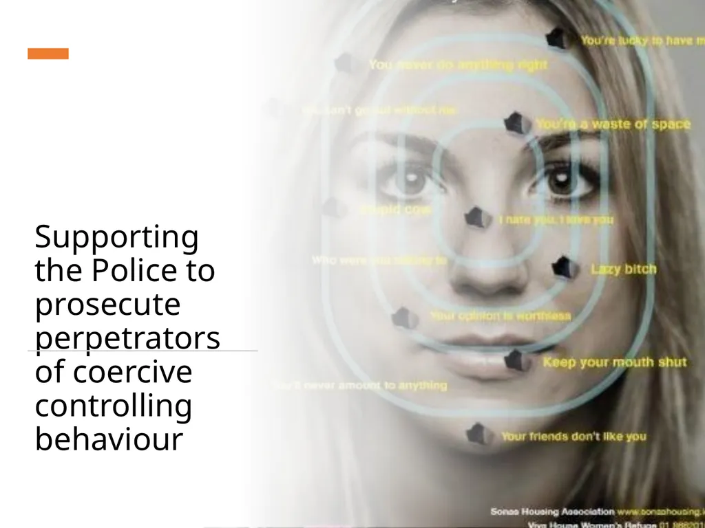 Coercive Controlling Behaviour in an intimate or - slide 27 of 39