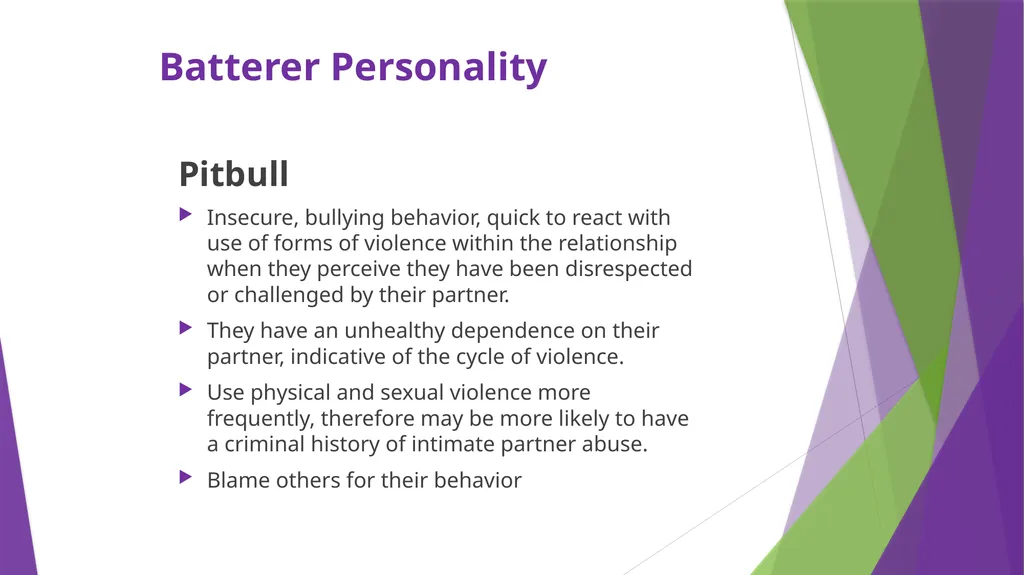 Intimate Partner Violence: Understanding the - slide 11 of 29