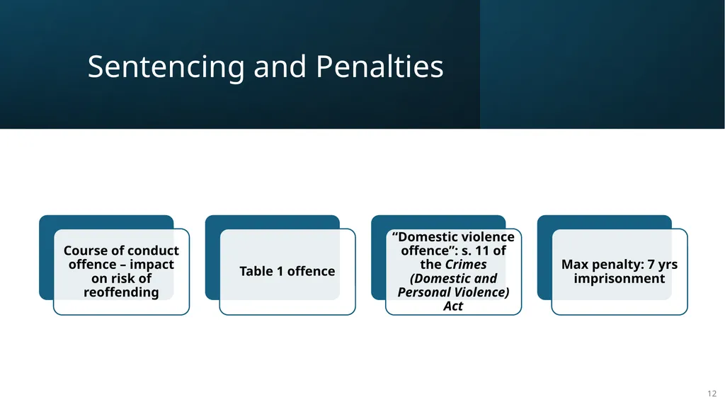 Legal Aid NSW Criminal Law Conference 2024 1 Why - slide 12 of 16
