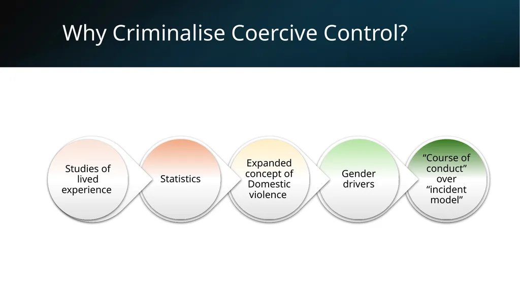 Legal Aid NSW Criminal Law Conference 2024 1 Why - slide 2 of 16
