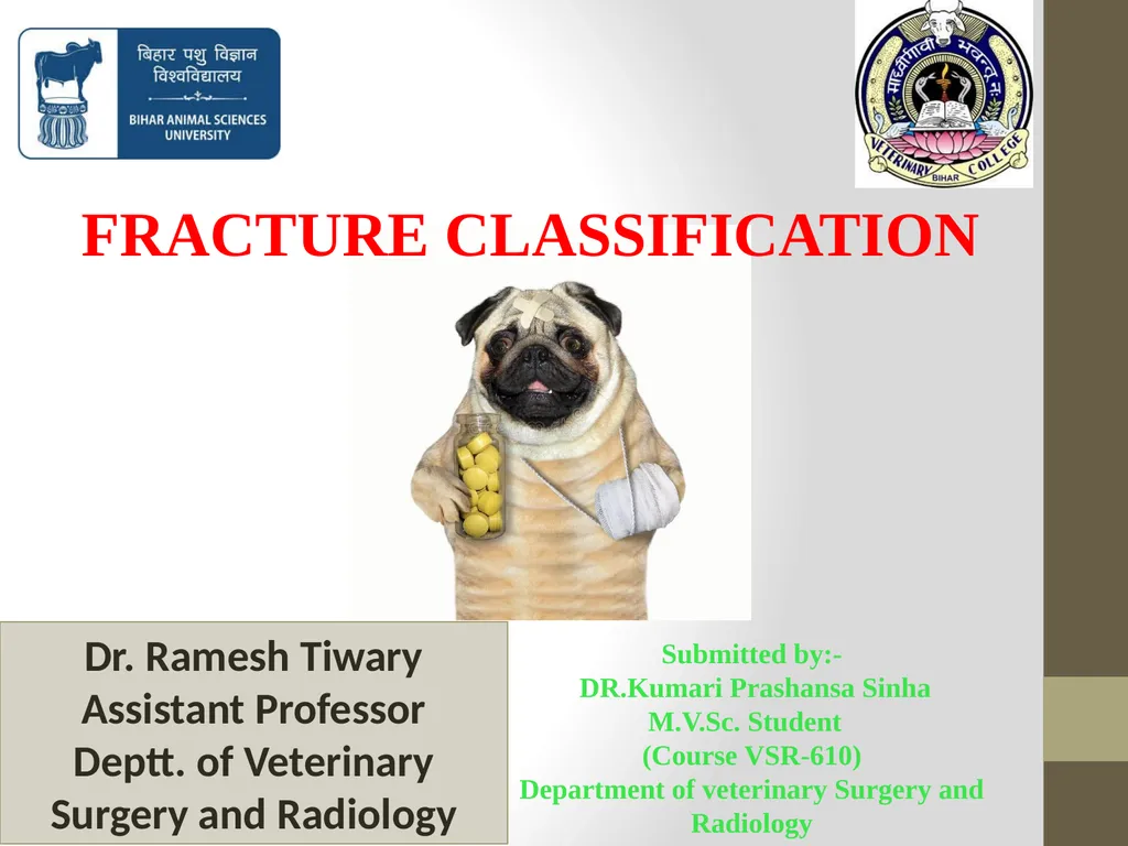 FRACTURE CLASSIFICATION Submitted by:- DR.Kumari - slide 1 of 16