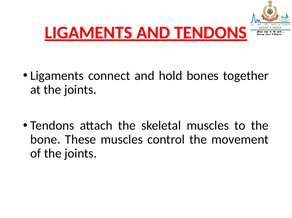 MUSCULOSKELETAL INJURIES LESSON -20 BY JITENDER - slide 5 of 58