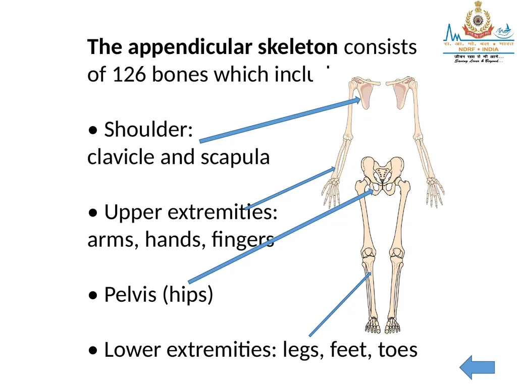 MUSCULOSKELETAL INJURIES LESSON -20 BY JITENDER - slide 48 of 58