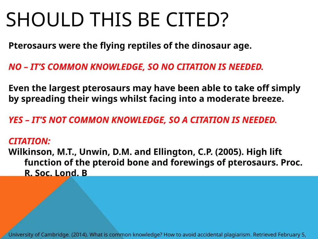 Citations & plagiarism How much do you know? - slide 10 of 15