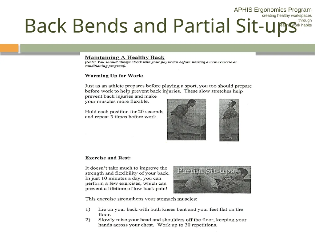 APHIS ERGONOMICS PROGRAM DRIVING Ergonomics - slide 55 of 62