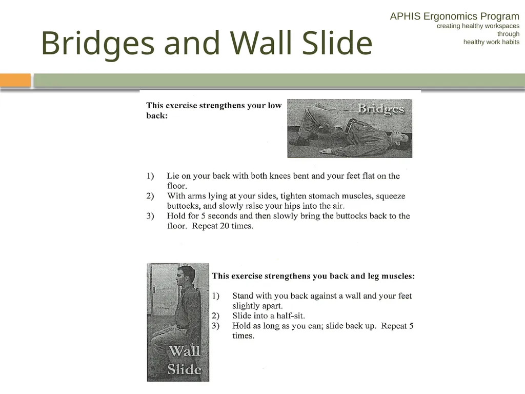 APHIS ERGONOMICS PROGRAM DRIVING Ergonomics - slide 56 of 62