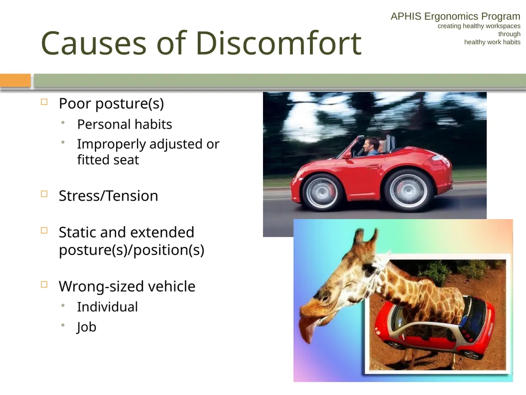 APHIS ERGONOMICS PROGRAM DRIVING Ergonomics - slide 14 of 62