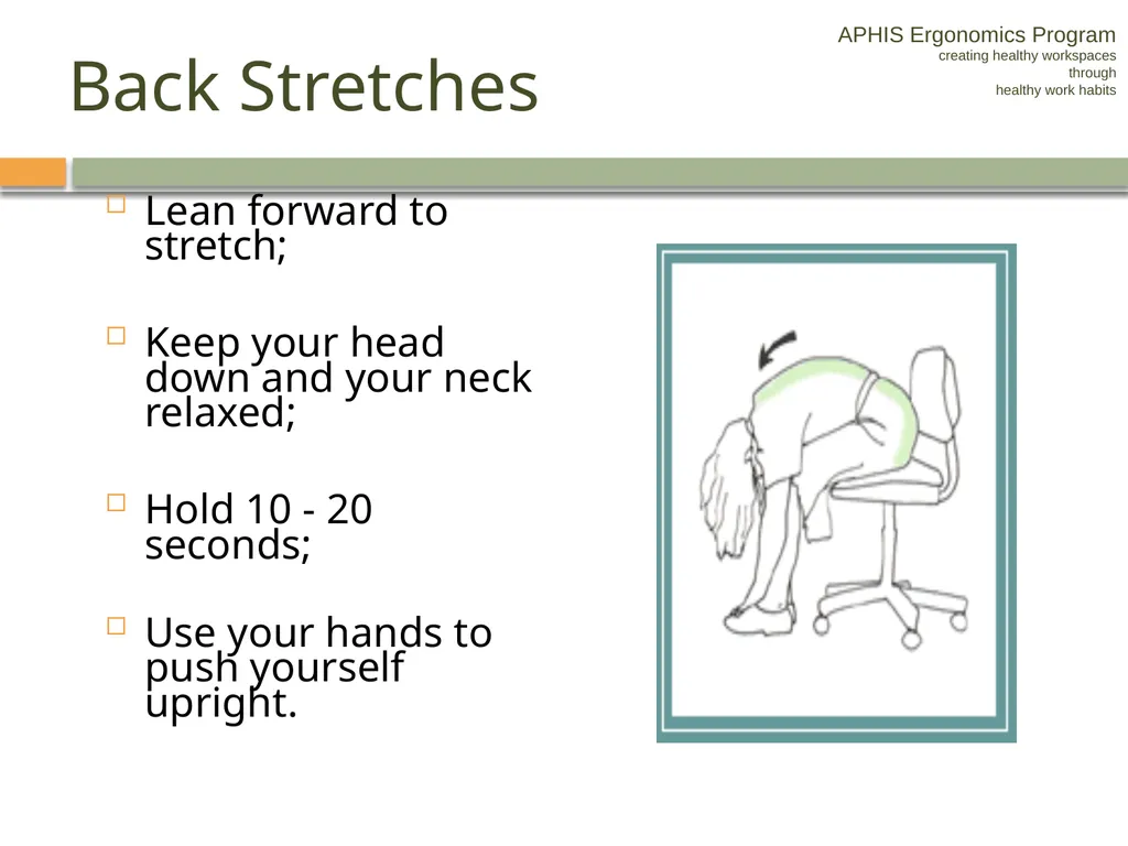 APHIS ERGONOMICS PROGRAM DRIVING Ergonomics - slide 53 of 62