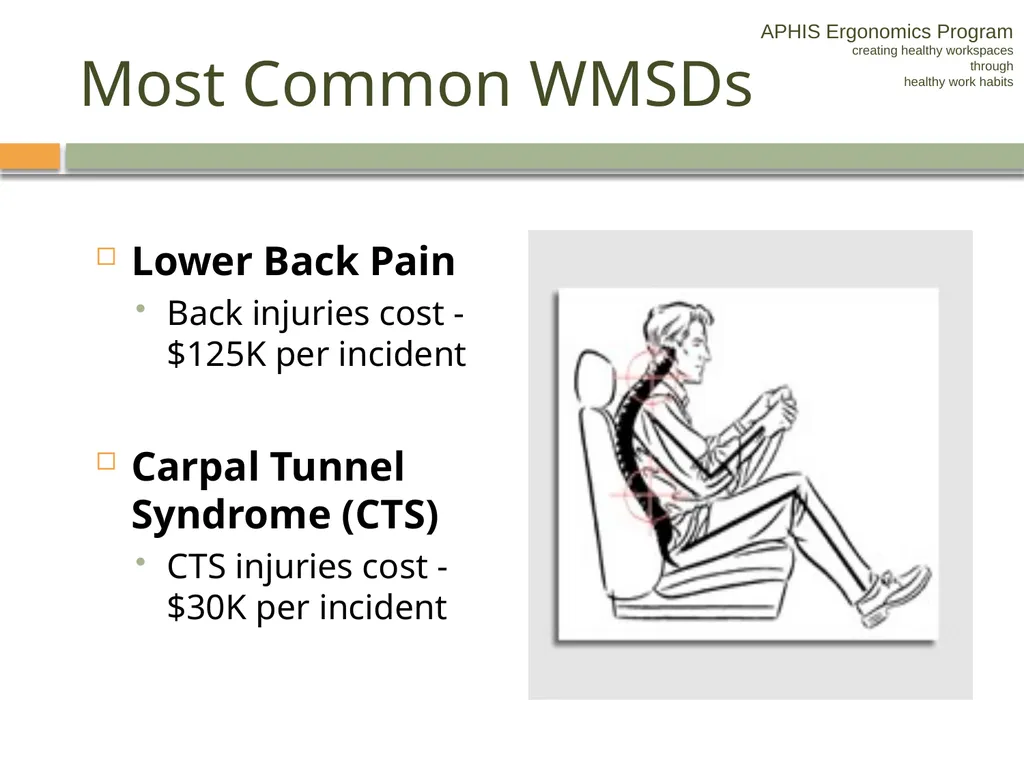 APHIS ERGONOMICS PROGRAM DRIVING Ergonomics - slide 6 of 62
