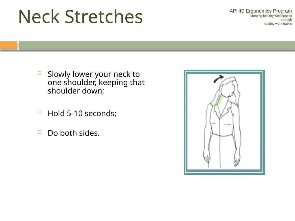 APHIS ERGONOMICS PROGRAM DRIVING Ergonomics - slide 51 of 62