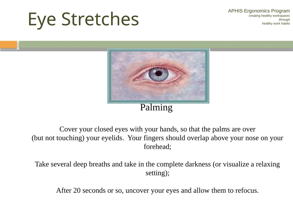 APHIS ERGONOMICS PROGRAM DRIVING Ergonomics - slide 52 of 62