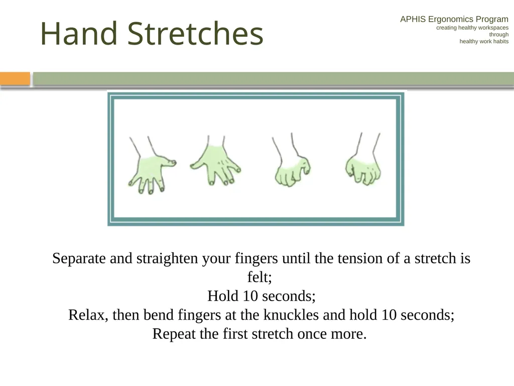 APHIS ERGONOMICS PROGRAM DRIVING Ergonomics - slide 50 of 62