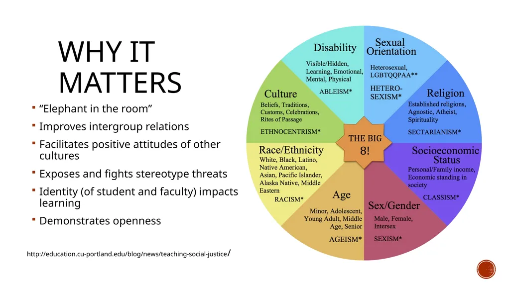 Social Justice, Diversity and Inclusion in the - slide 2 of 12