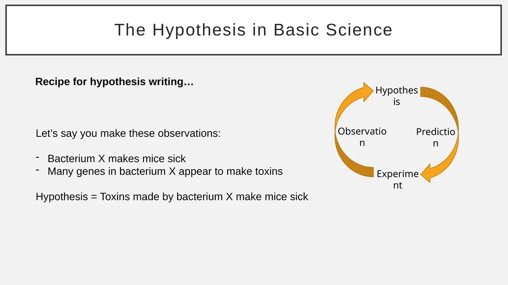 The Basic Science Hypothesis What It Is and How to - slide 14 of 61