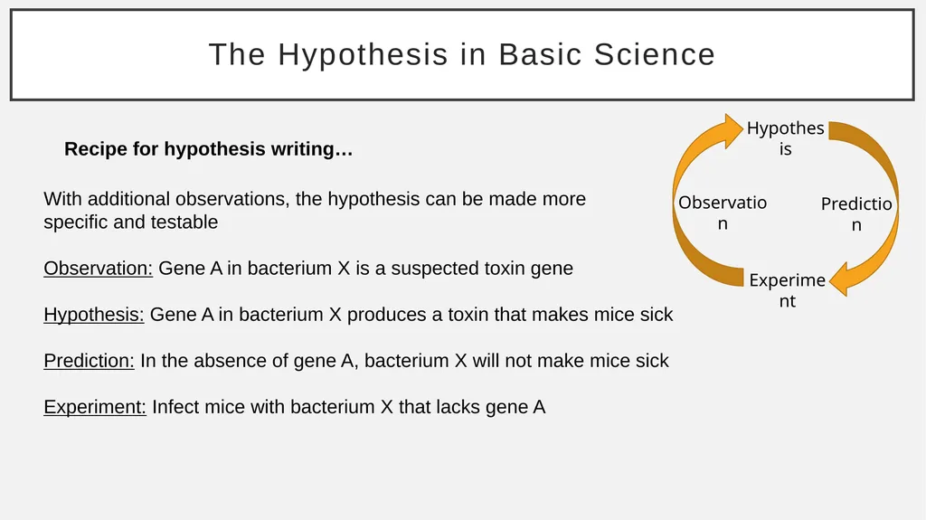 The Basic Science Hypothesis What It Is and How to - slide 15 of 61