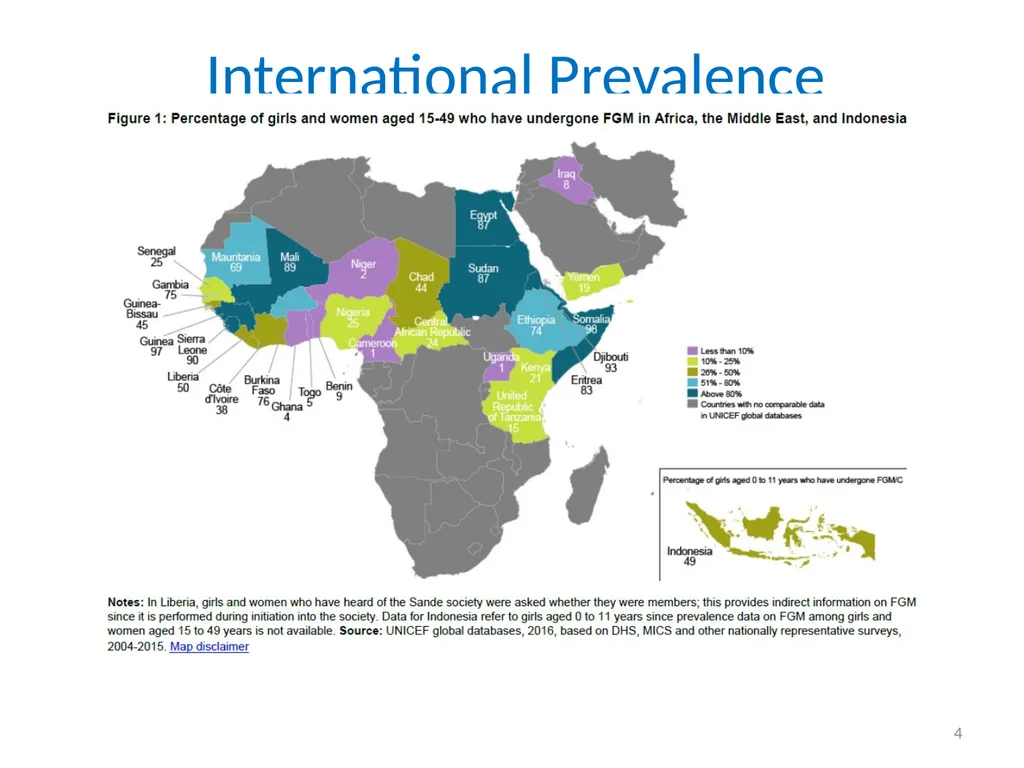 Female Genital Mutilation (FGM): Briefing for - slide 4 of 20