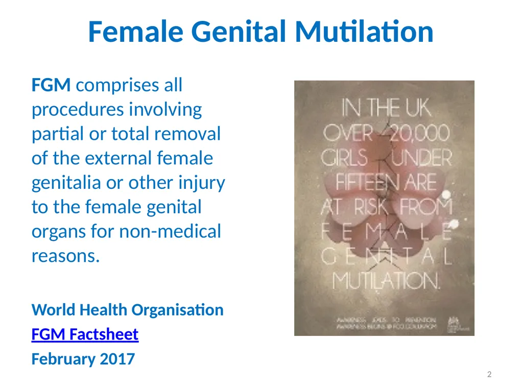 Female Genital Mutilation (FGM): Briefing for - slide 2 of 20