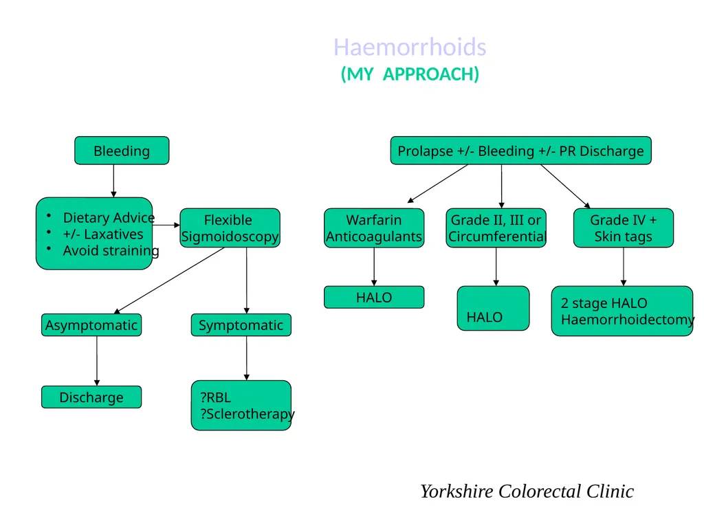 Everything there is to know about colorectal - slide 44 of 73