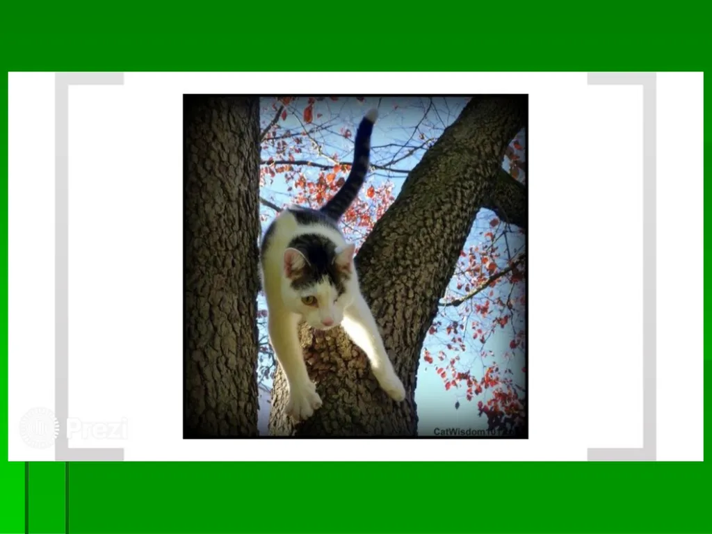 DAD AND THE CAT AND THE TREE KIT WRIGHT - slide 11 of 15