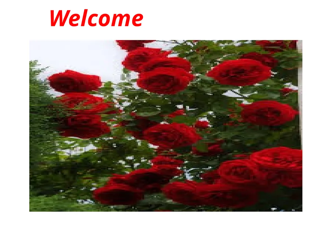 Welcome Introducing Md. Washim Uddin Assistant - slide 1 of 19