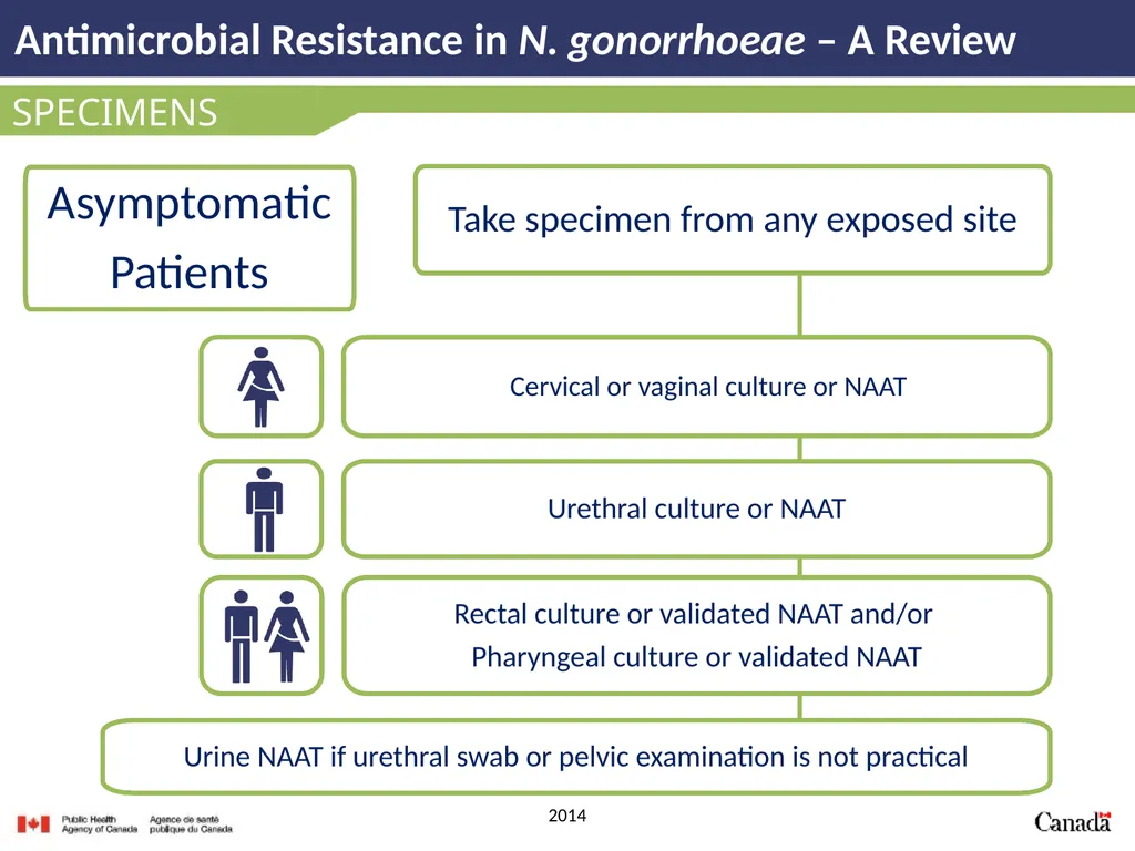 Antimicrobial Resistance in N. gonorrhoeae A - slide 18 of 39
