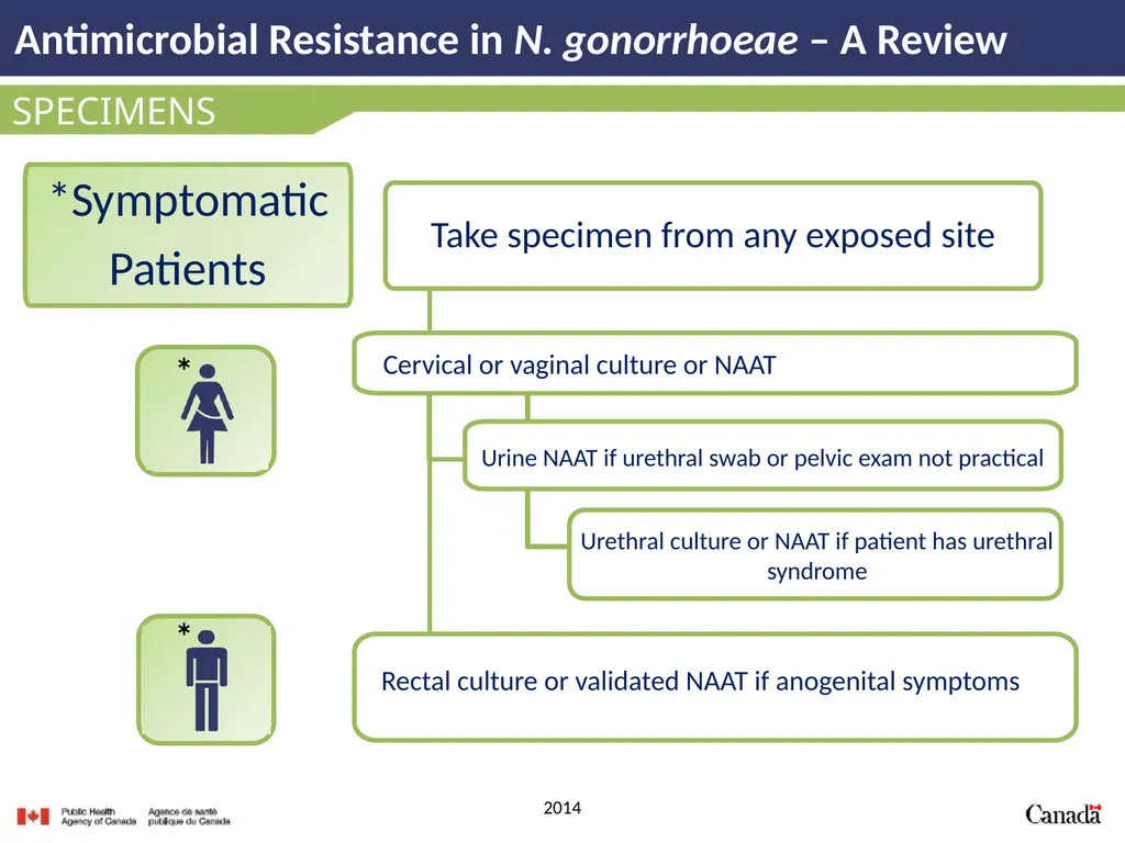 Antimicrobial Resistance in N. gonorrhoeae A - slide 19 of 39