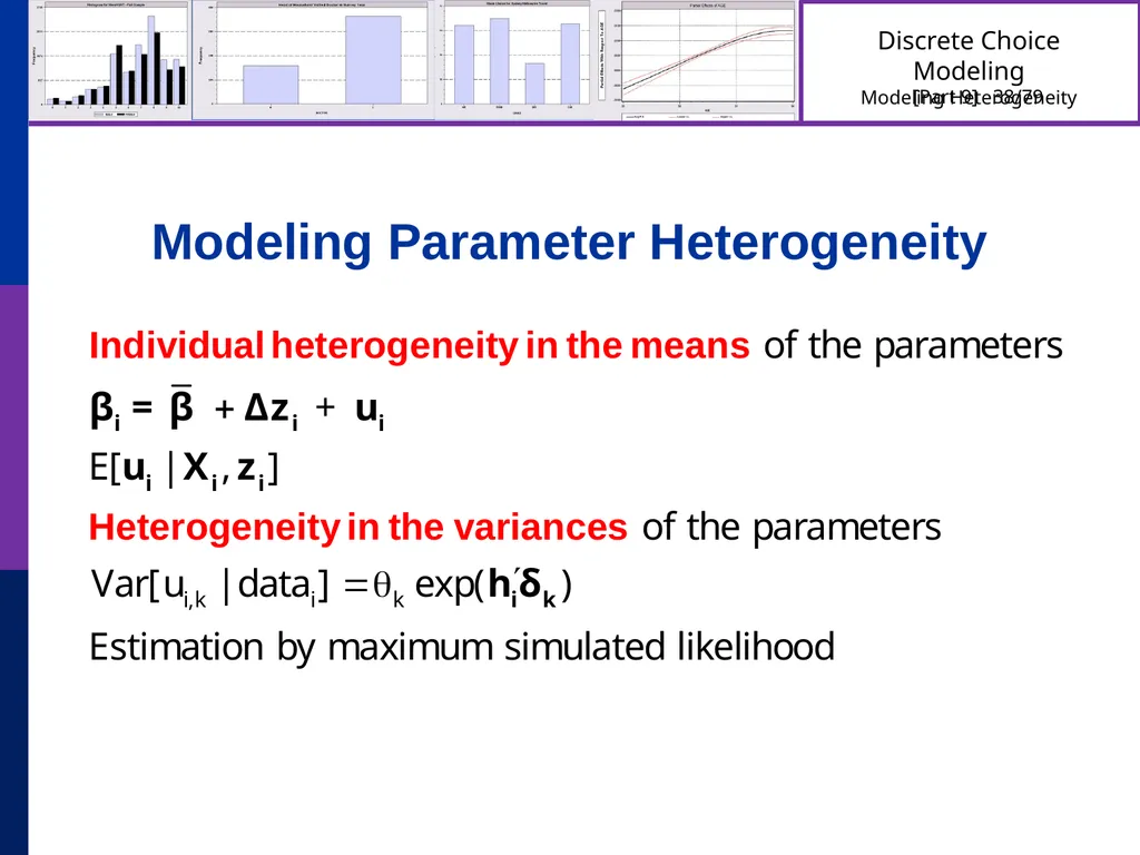 Discrete Choice Modeling William Greene Stern - slide 38 of 79