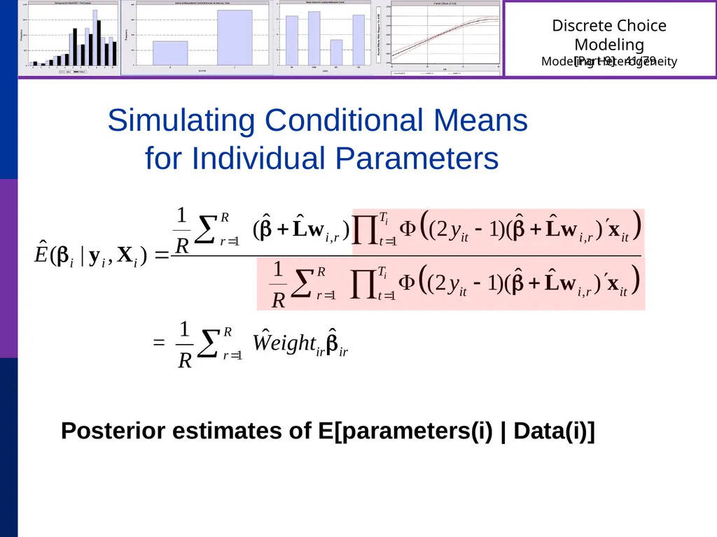 Discrete Choice Modeling William Greene Stern - slide 41 of 79