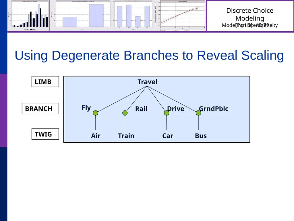 Discrete Choice Modeling William Greene Stern - slide 48 of 79