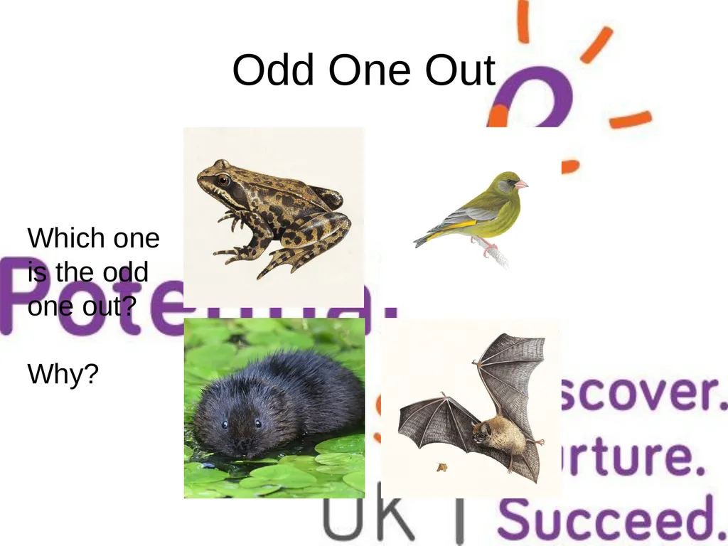 Odd One Out Why? Which one is the odd one - slide 2 of 5