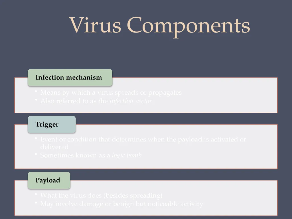 Computer Security: Principles and Practice Fourth - slide 13 of 49