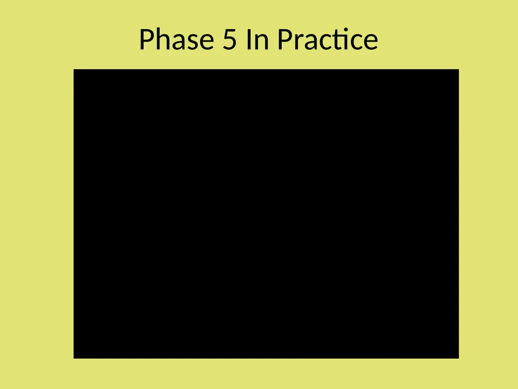Phase Five: Review and Reflection “During the PTR - slide 13 of 16