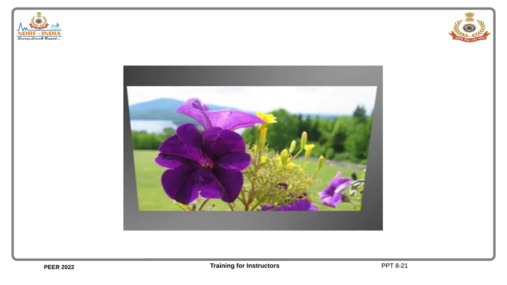 Unit 8 Audio-Visual Equipment Unit 8 Objectives - slide 22 of 30
