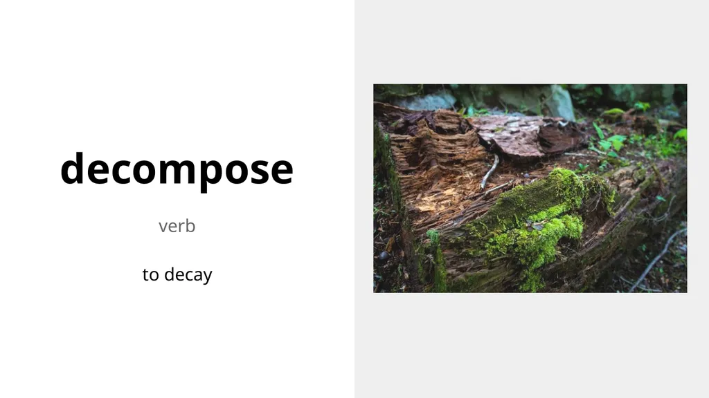 Weekly Words Unit 2, Week 2 decompose verb to - slide 2 of 9