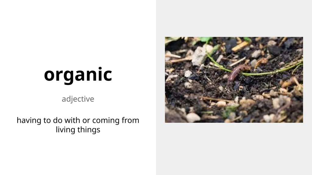 Weekly Words Unit 2, Week 2 decompose verb to - slide 5 of 9