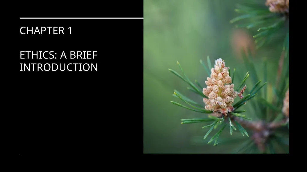 Environmental Ethics: The Central Issues Gregory - slide 2 of 75