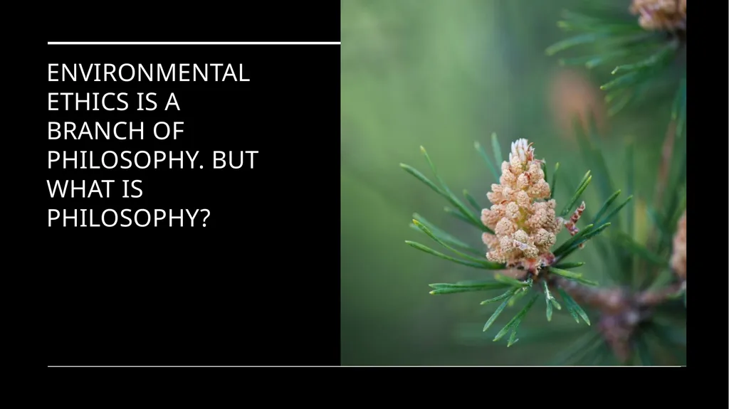 Environmental Ethics: The Central Issues Gregory - slide 11 of 75