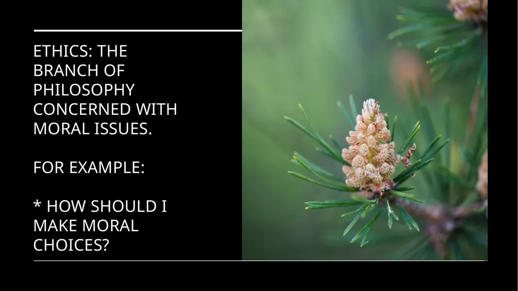 Environmental Ethics: The Central Issues Gregory - slide 14 of 75