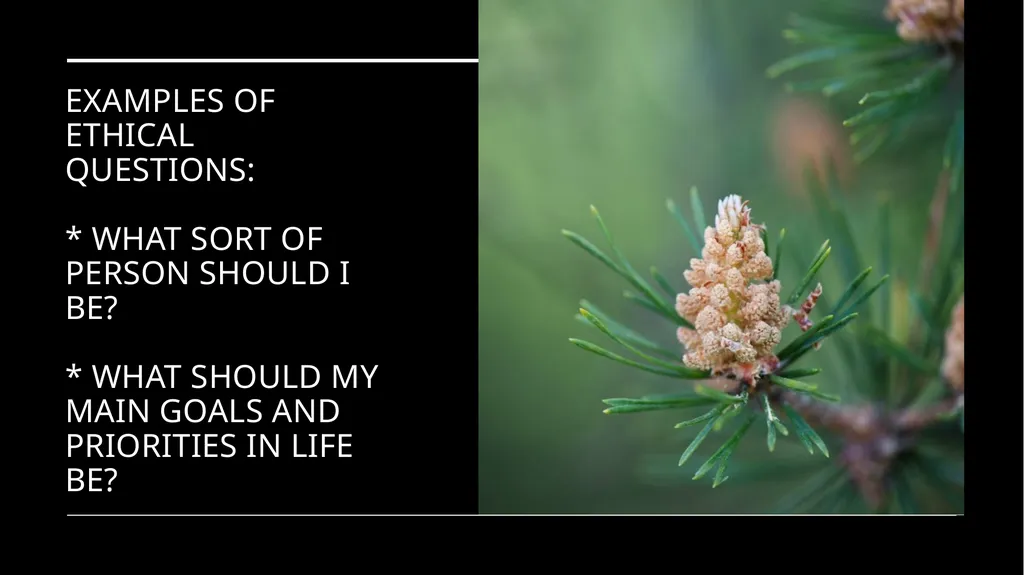 Environmental Ethics: The Central Issues Gregory - slide 15 of 75