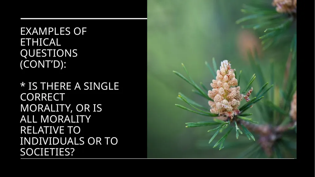 Environmental Ethics: The Central Issues Gregory - slide 16 of 75