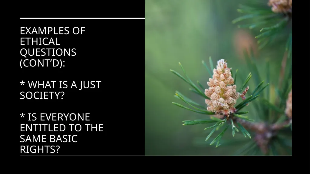 Environmental Ethics: The Central Issues Gregory - slide 17 of 75