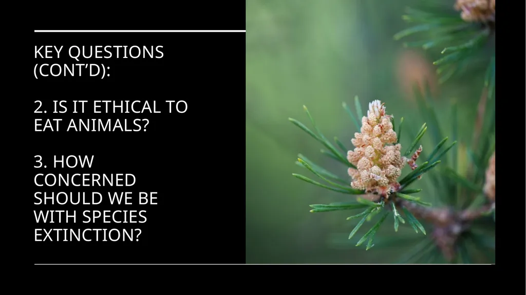 Environmental Ethics: The Central Issues Gregory - slide 7 of 75