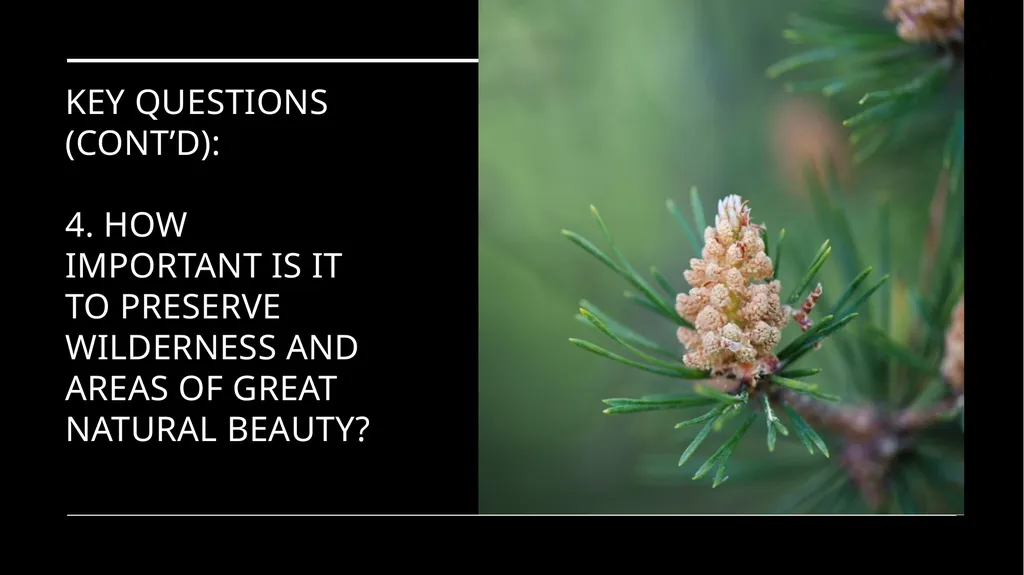 Environmental Ethics: The Central Issues Gregory - slide 8 of 75