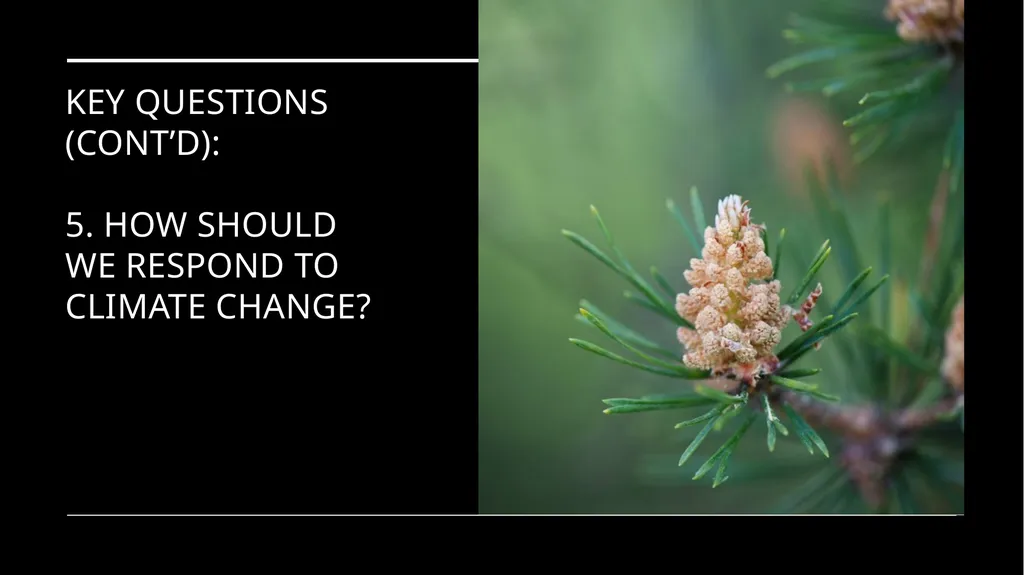Environmental Ethics: The Central Issues Gregory - slide 9 of 75