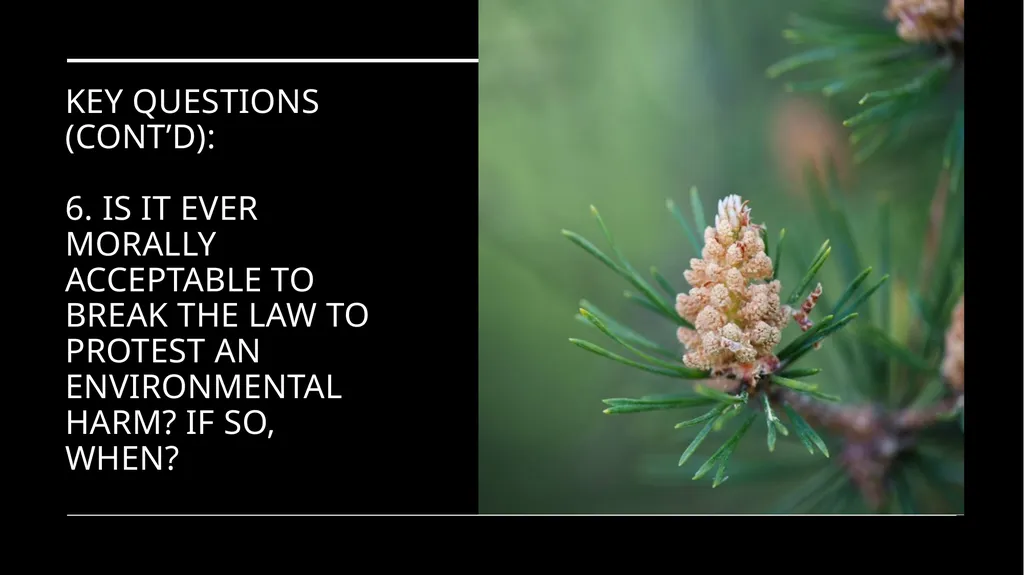 Environmental Ethics: The Central Issues Gregory - slide 10 of 75