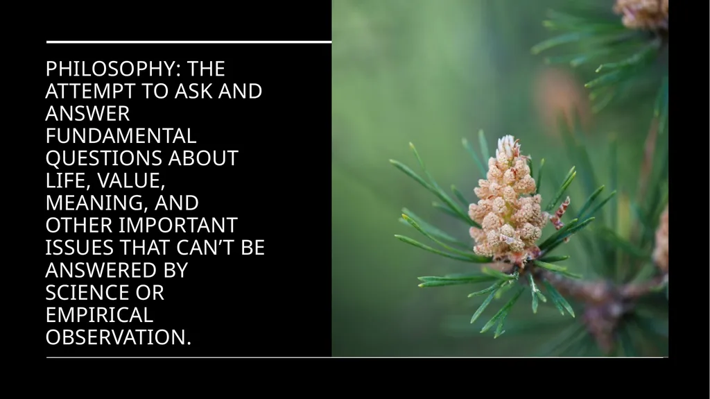 Environmental Ethics: The Central Issues Gregory - slide 12 of 75